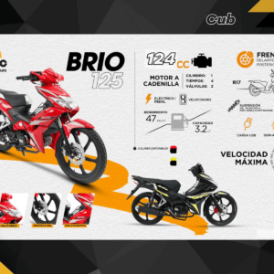 Moto Brio 125 ditec copia